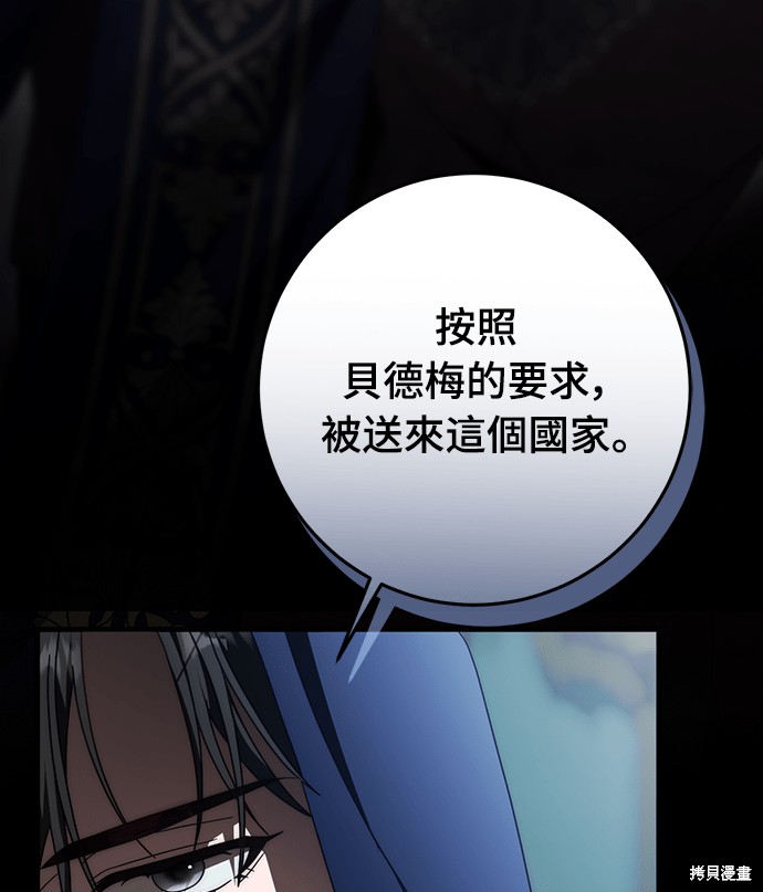 幸存王女的微笑之谜第88话在线观看 - 第81张