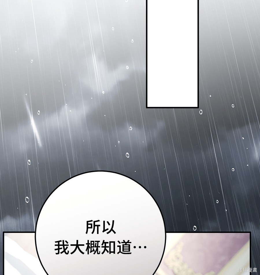幸存王女的微笑之谜第89话在线观看 - 第263张
