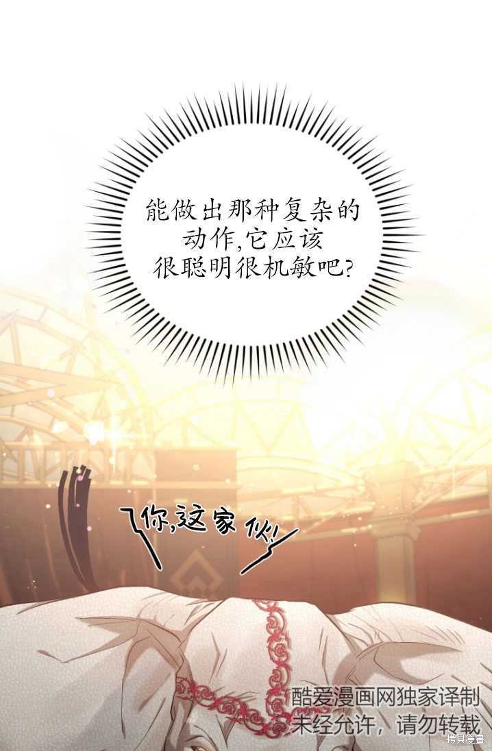重置小姐第8话在线观看 - 第52张