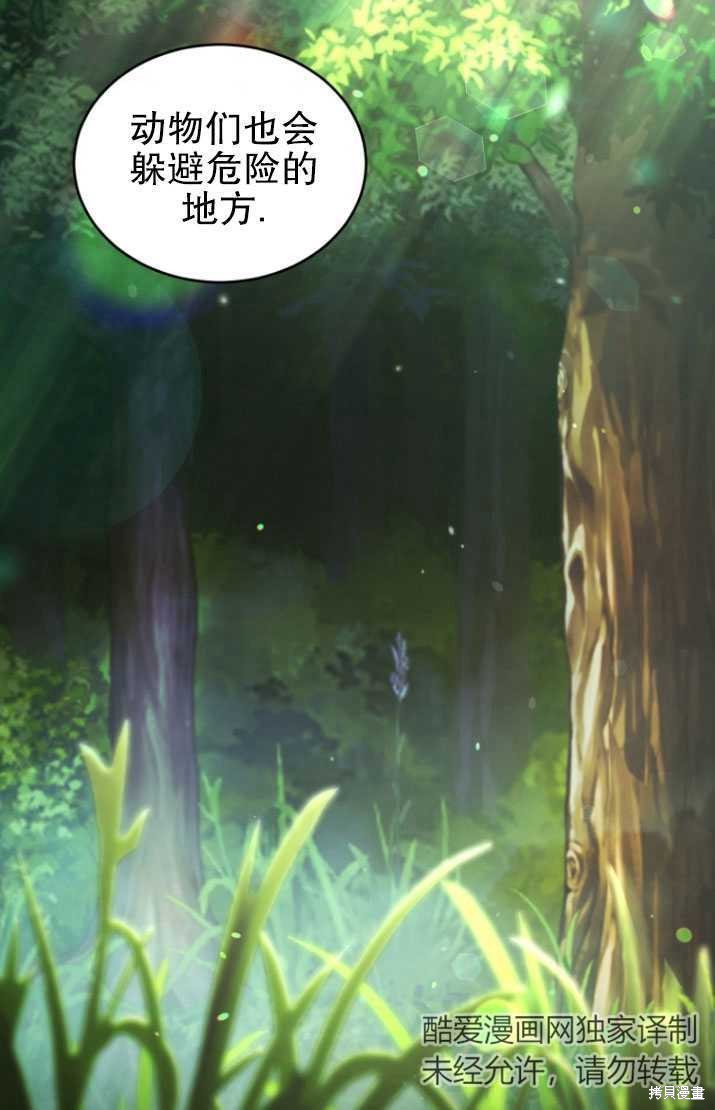 重置小姐第19话在线观看 - 第45张
