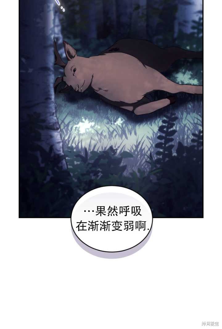 重置小姐第40话在线观看 - 第65张