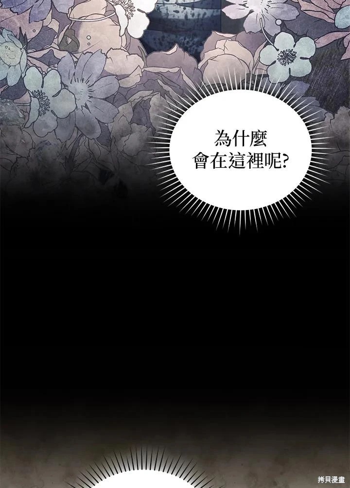 重置小姐第68话在线观看 - 第4张