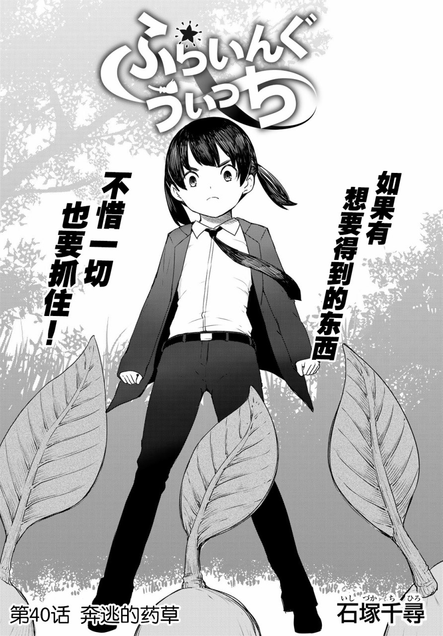 飞翔的魔女40话在线观看 - 第4张
