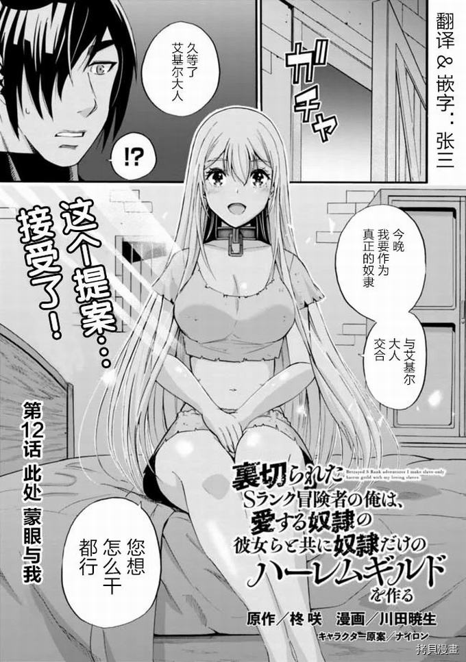 作为被背叛了的S级冒险者的我、决定成立一个只有我所爱的奴隶女孩子们的后宫公会第12话在线观看 - 第1张