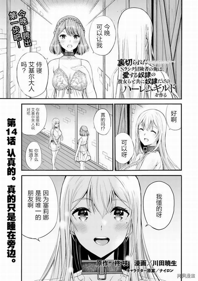 作为被背叛了的S级冒险者的我、决定成立一个只有我所爱的奴隶女孩子们的后宫公会第14话在线观看 - 第1张